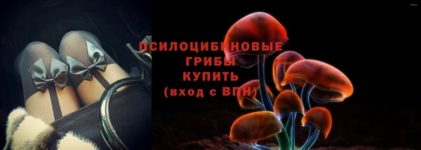 ешки Володарск