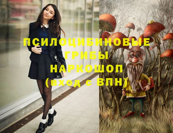 дмт Волоколамск