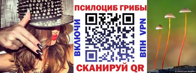 Галлюциногенные грибы MAGIC MUSHROOMS  Купить  Топки 