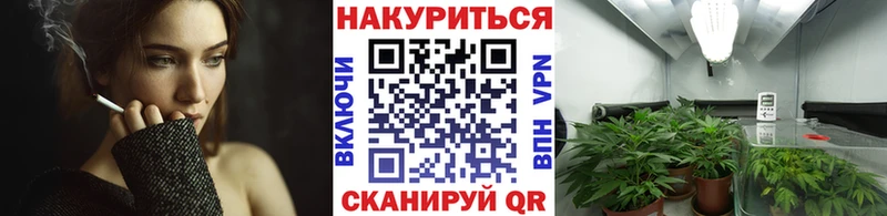 Купить  Топки  Конопля LSD WEED 